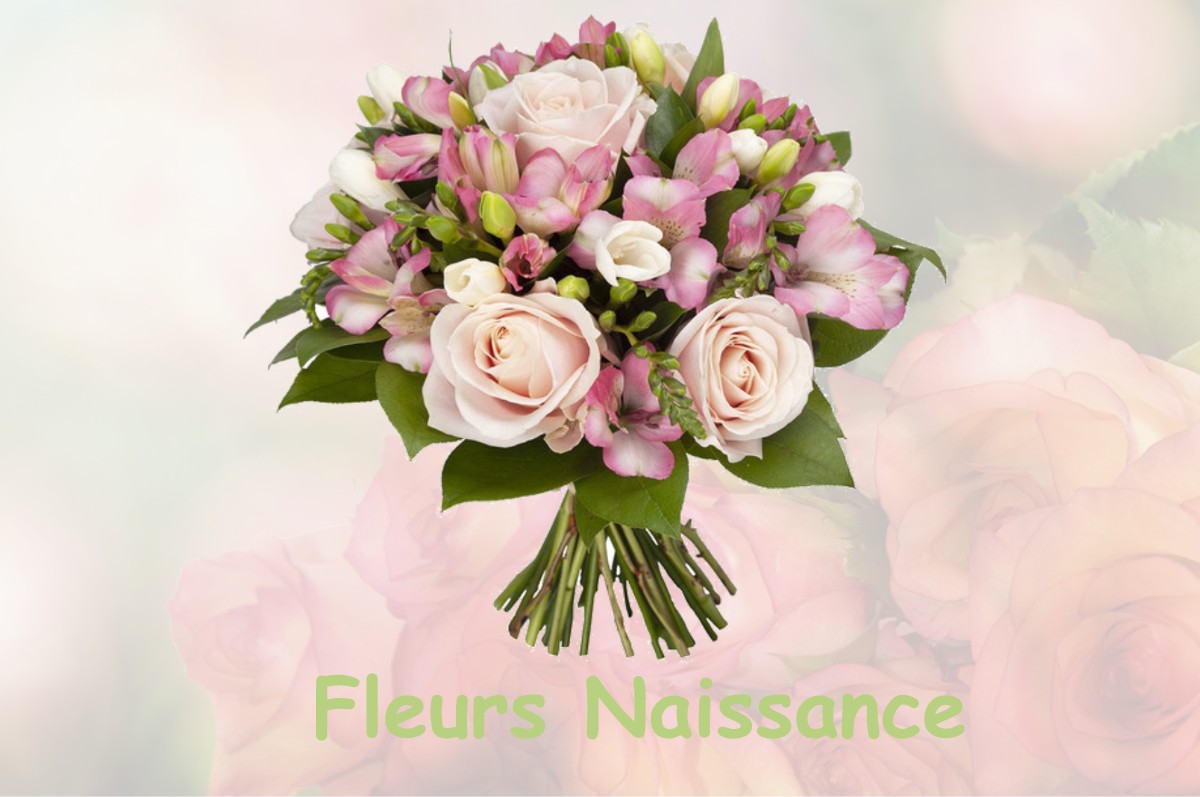 fleurs naissance NOUVION-SUR-MEUSE